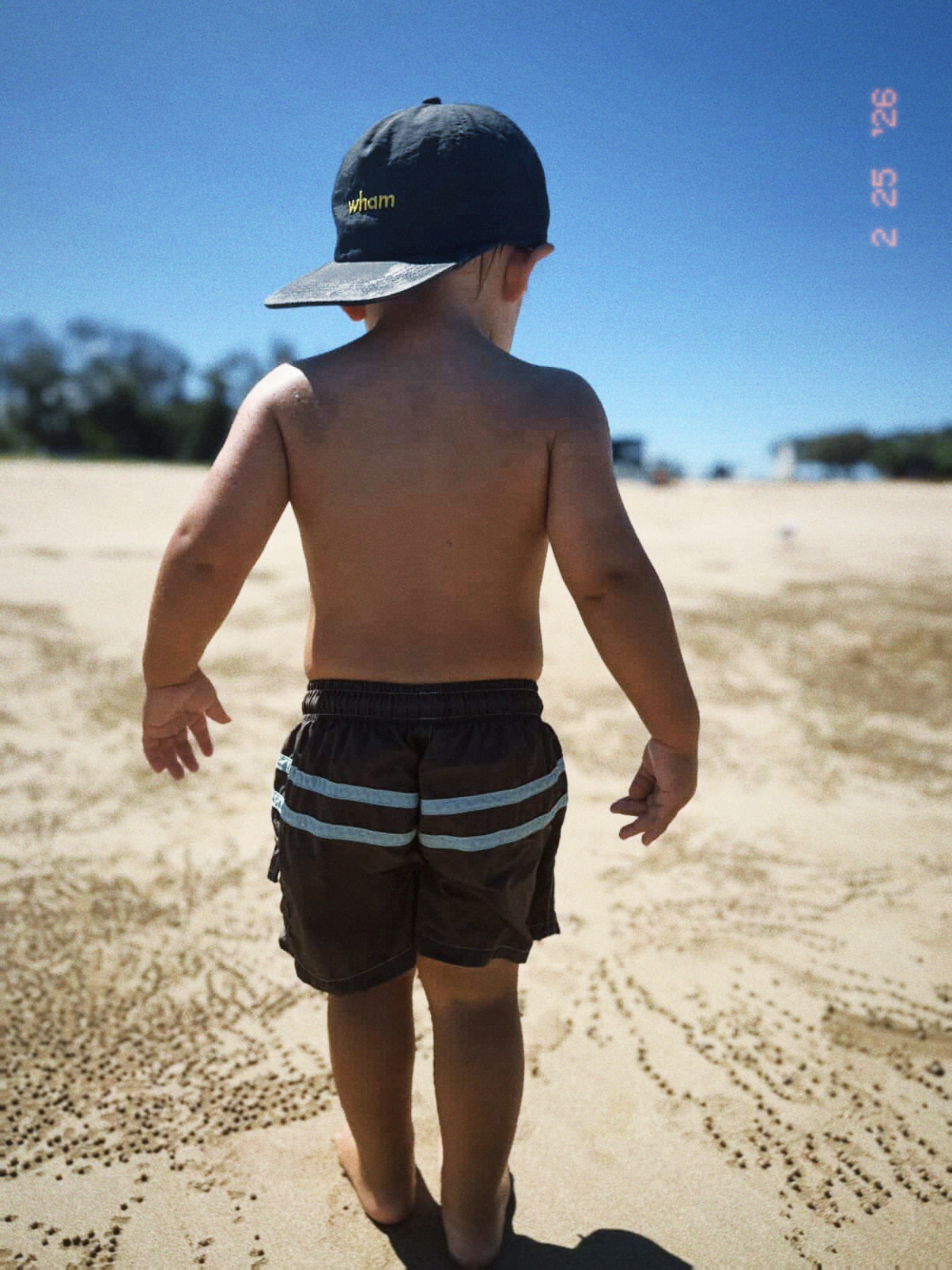 Harry Hat